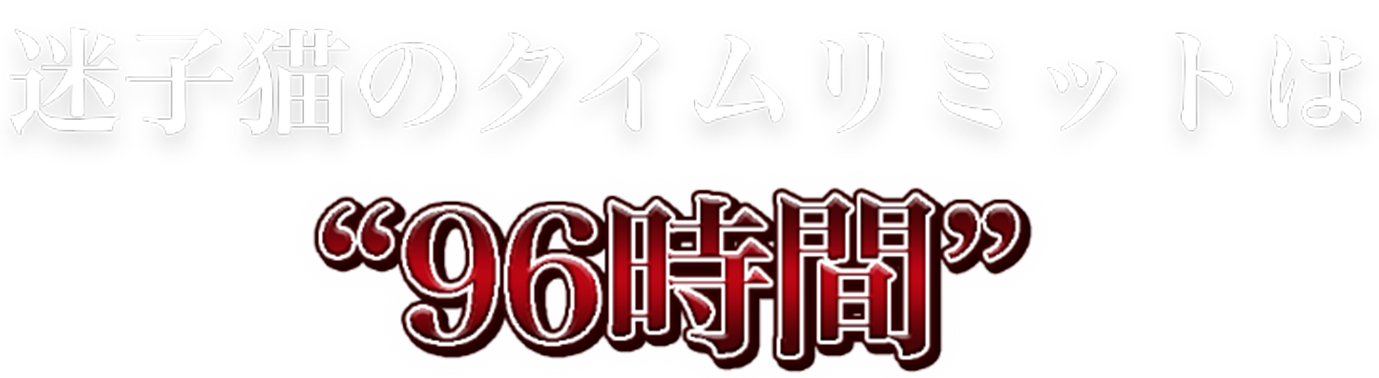 96時間
