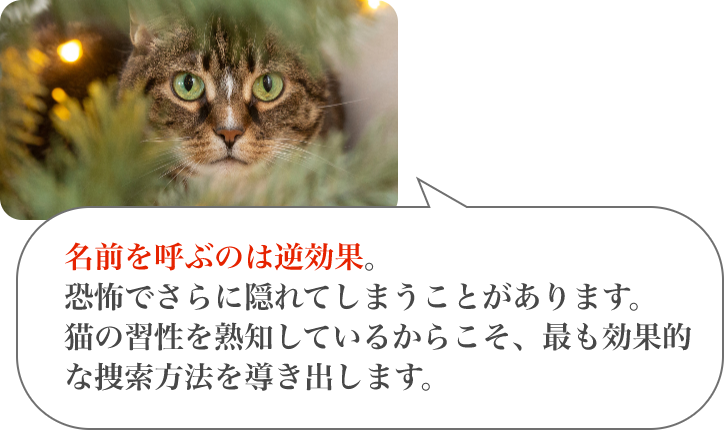 隠れやすい場所や行動範囲、心理状態を踏まえた捜索計画