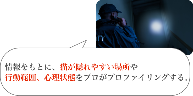 夜間のライトを用いた探索