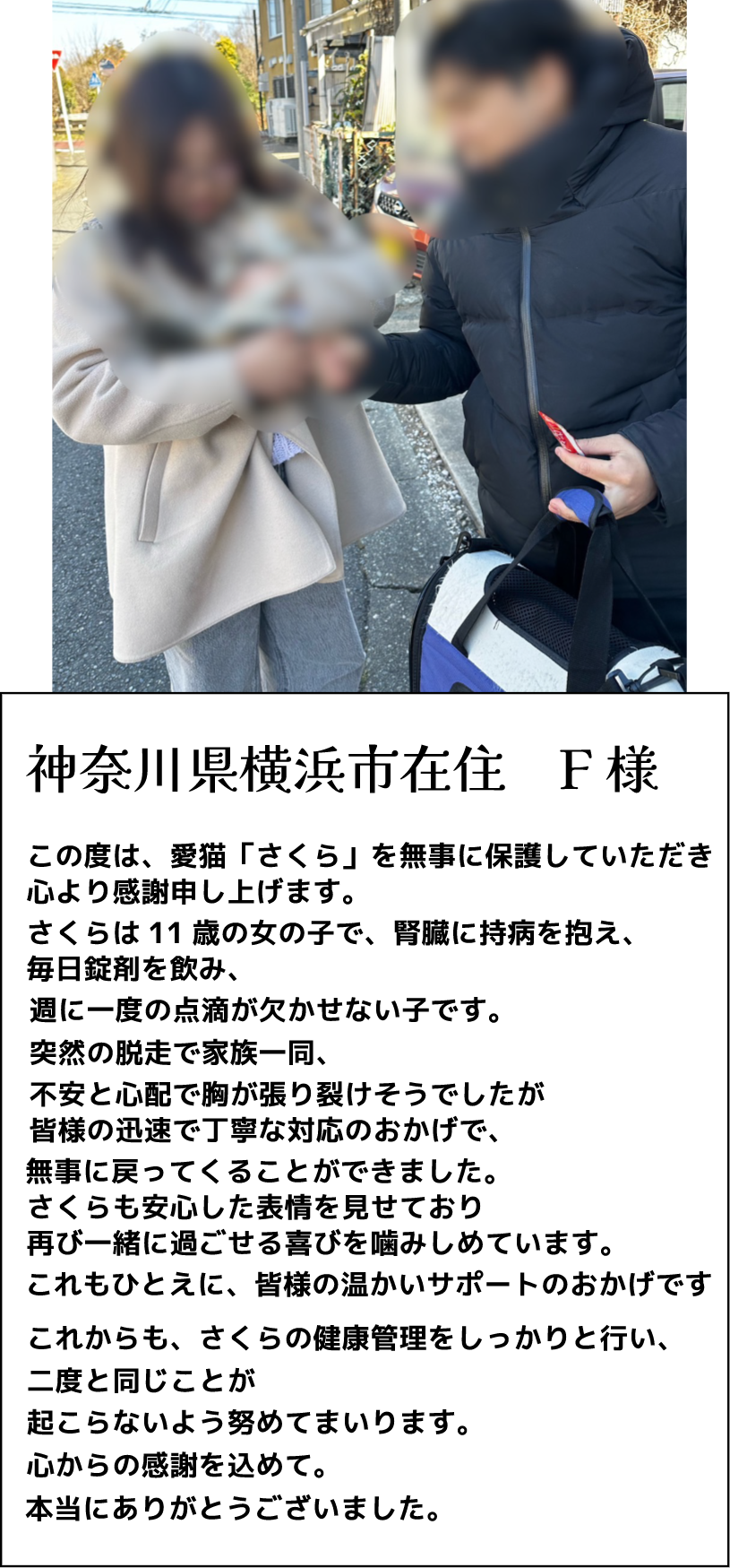 保護された猫と飼い主さまの再会シーン