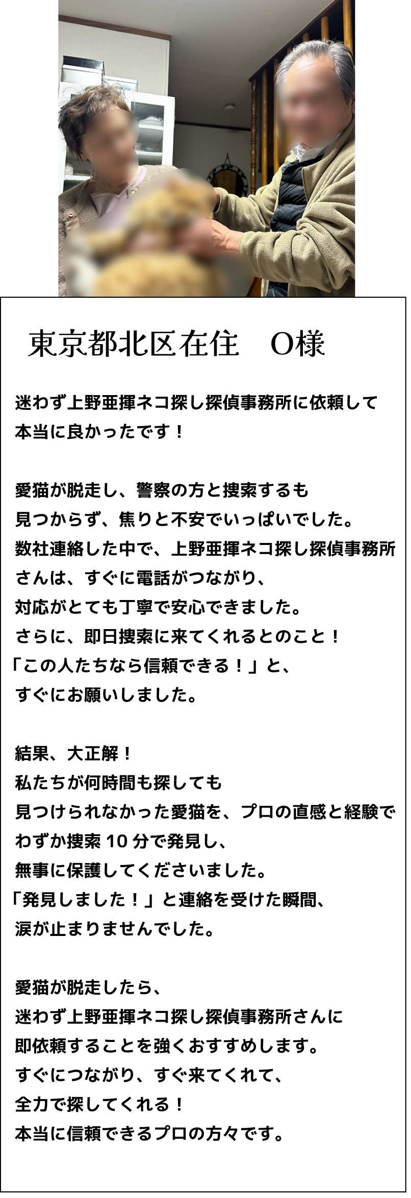 ご家族と猫の再会の場面