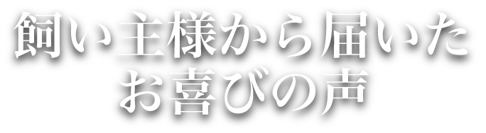 飼い主様から届いたお喜びの声