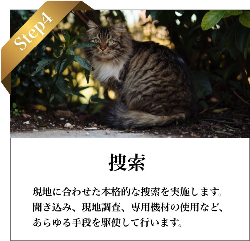 STEP4 捜索：現地状況を踏まえ、最適ルートと手順で集中捜索。