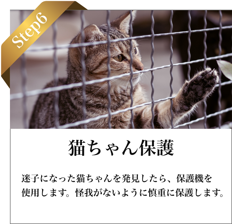 STEP6 猫ちゃん保護：安全に保護し、ご家庭へお届けします。